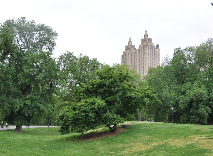 Top 10 bezienswaardheden in New York het Central Park